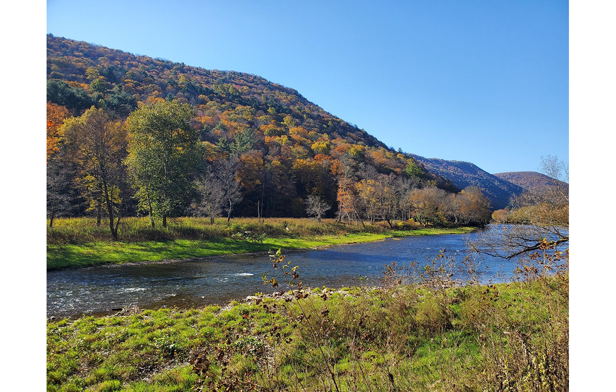 Image for Pine Creek Rail Tail Pennsylvania (Physical)

